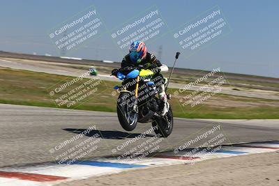 media/Mar-24-2025-2WTD (Mon) [[55b4b08488]]/B Group/1220pm (Wheelie Bump)/